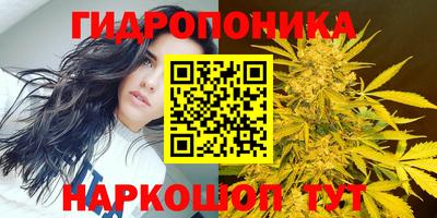 мескалин Заводоуковск