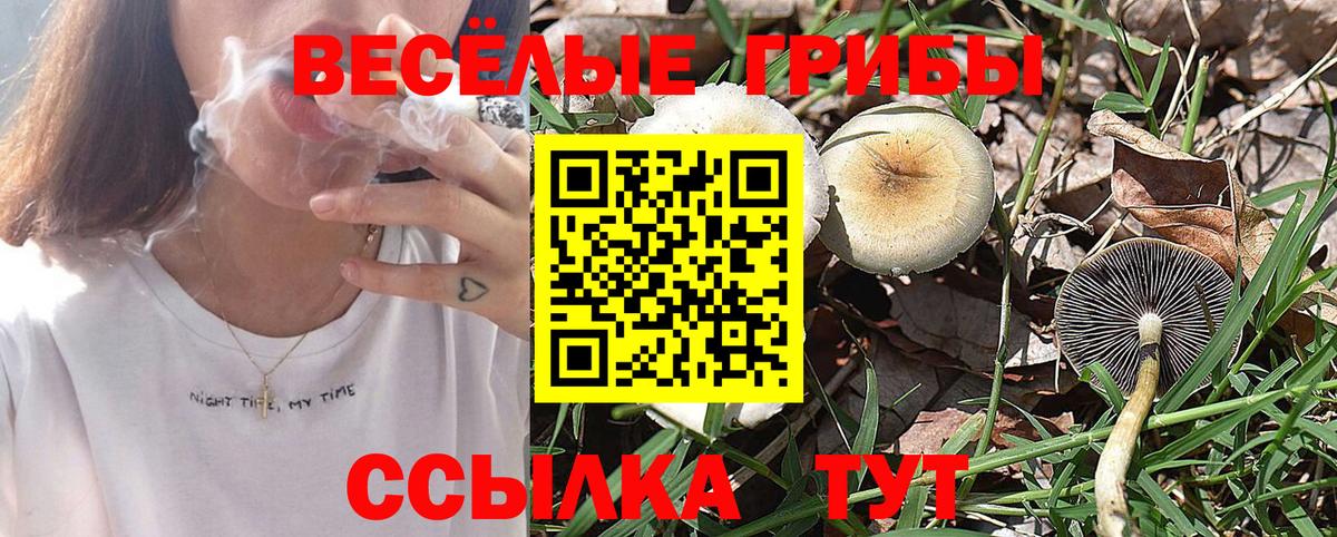 Канск  Галлюциногенные грибы MAGIC MUSHROOMS  Псилоцибиновые грибы Psilocybe  Вход с VPN 