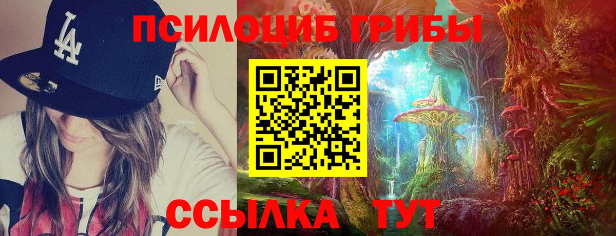 Галлюциногенные грибы Psilocybine cubensis Канск